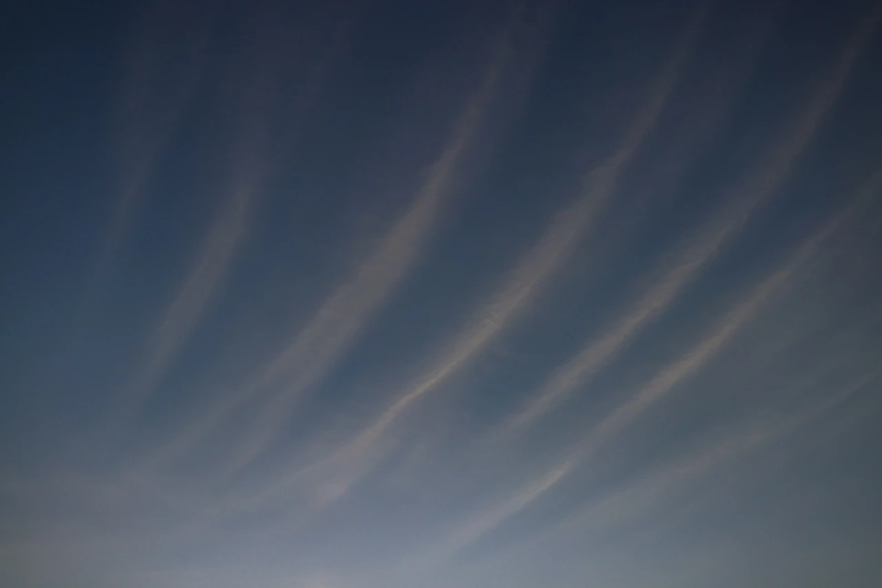 Landlord handling tenant dispute, rent arrears and lease termination process