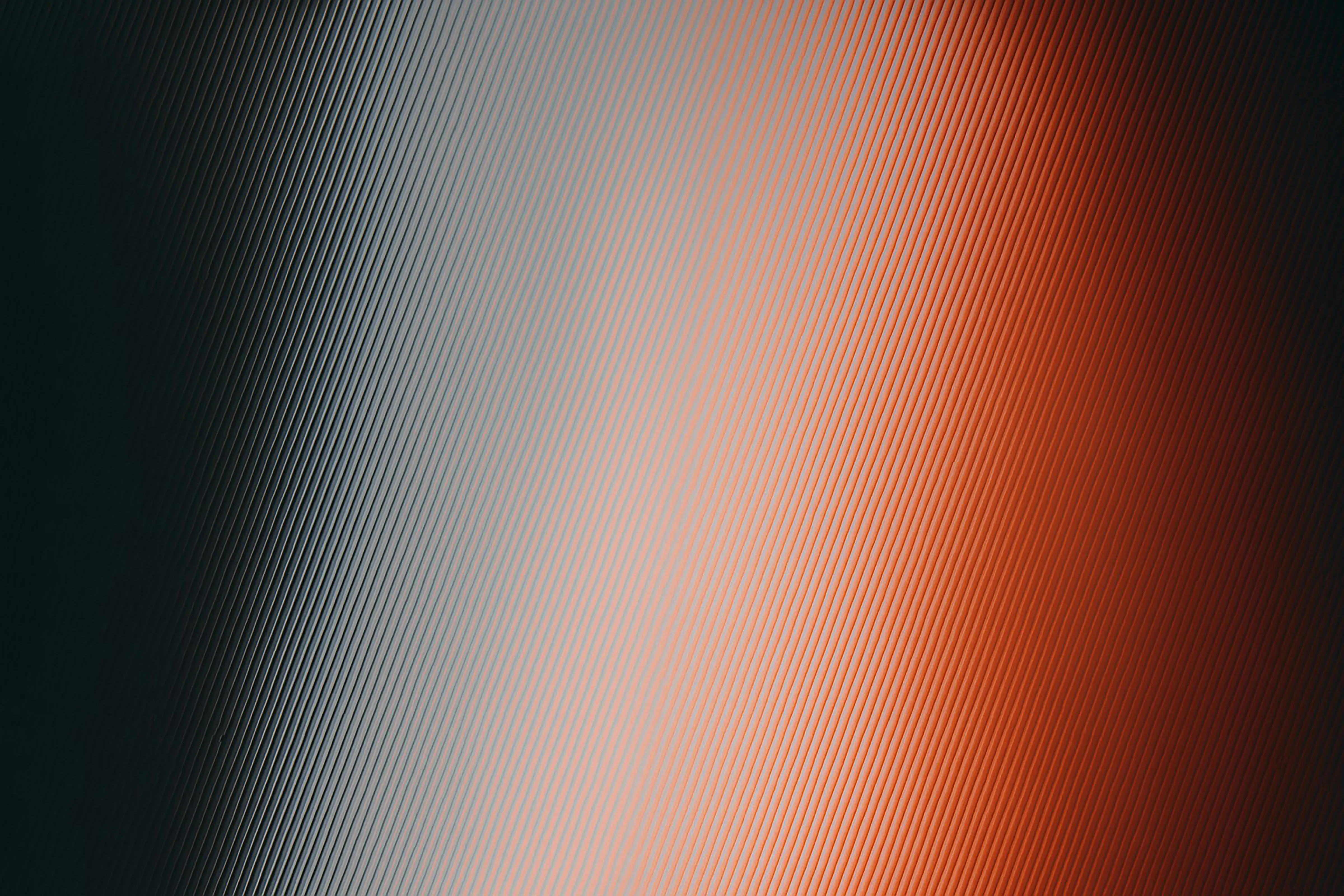 Australian rental bond dispute resolution process between landlord and tenant